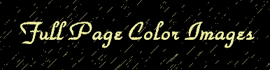 Full Page Color Images