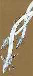 Volume 8 Dustjacket Flap