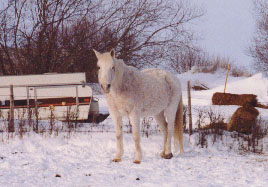 MayBelle