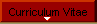  Curriculum Vitae 