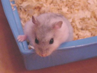 Cutie is trying to escape!