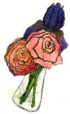 flower+colour.jpg (36908 bytes)