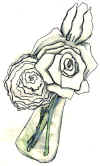 flowers.jpg (32826 bytes)