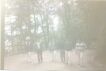 shimla_roam 