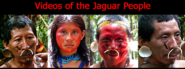 Amazon Indigenous Tribes Photos Videos
