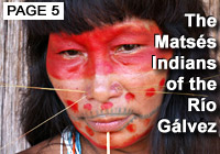 Matses Indians