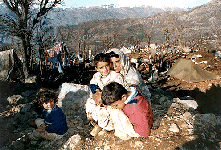 Click to Enlarge