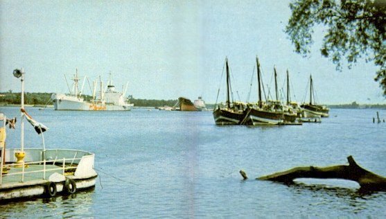 Click to Enlarge