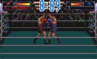 3D World Boxing
