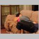 PAUSA3.html