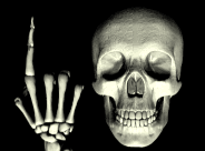 beaken.gif (11724 byte)