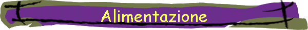 Alimentazione