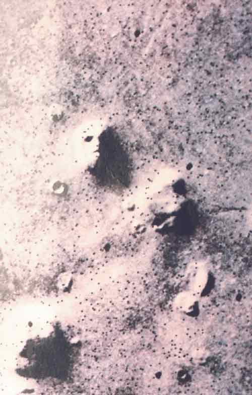 Cydonia (Mars)