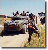 Foto tratta dal sito ufficiale dell' Esercito Italiano.