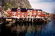 Meseo del merluzzo alle isole Lofoten