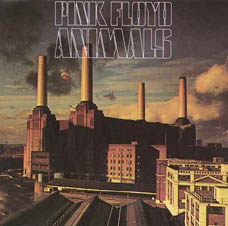 Animals
