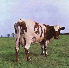 Atom Heart Mother