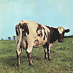 atom heart