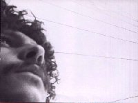 peter,  feb. 81