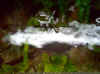IM000096.jpg (48684 byte)