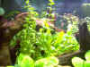 IM000608.jpg (60524 byte)