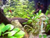 IM000616.jpg (65875 byte)