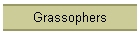Grassophers