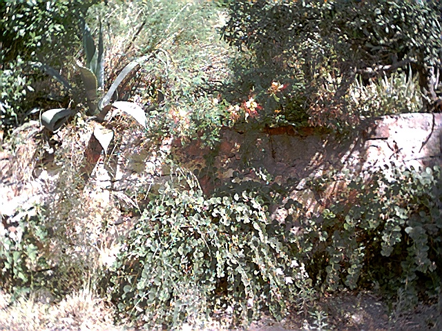 muro a sassi