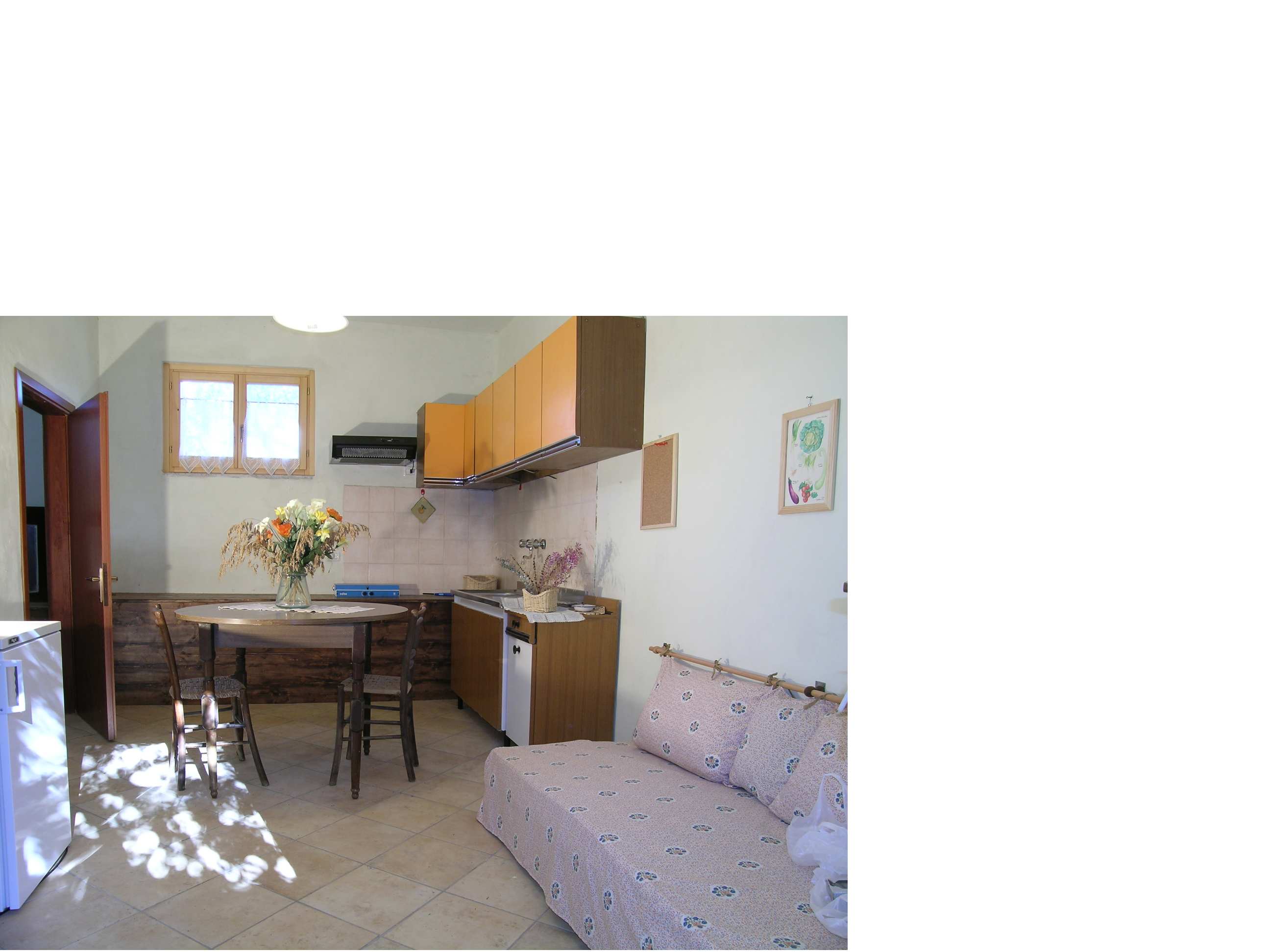 foto cucina