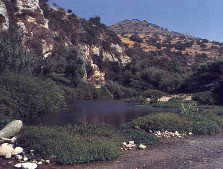 Irminio