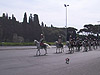 Festa della Repubblica, 2 giugno