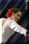 flamenco010.jpg (35824 byte)
