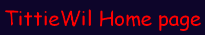 TITTI eWil Home page.gif (2282 byte)