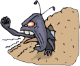 ameise1.gif (10961 byte)