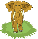 an051.gif (17456 byte)