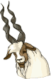 an081.gif (14027 byte)