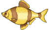 an144.gif (11274 byte)