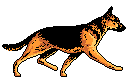 cane2.gif (5047 byte)