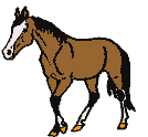 cavallo.gif (10095 byte)