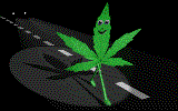 chronicwalk.gif (40994 byte)
