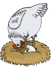 gallina1.gif (13913 byte)