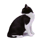 gat_12.gif (6801 byte)
