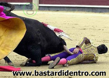 toreroole.jpg (33632 byte)