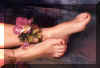 Bet13.jpg (105578 byte)