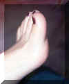 Bet19.jpg (109223 byte)