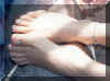 Bet20.jpg (149657 byte)