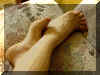 Bet16.jpg (60991 byte)