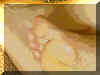 Bet17.jpg (63686 byte)