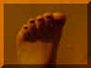 Bet19.jpg (149988 byte)
