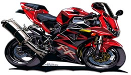 Cbr 954rr